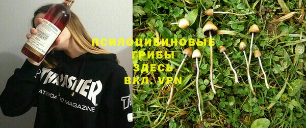 герыч Алексеевка