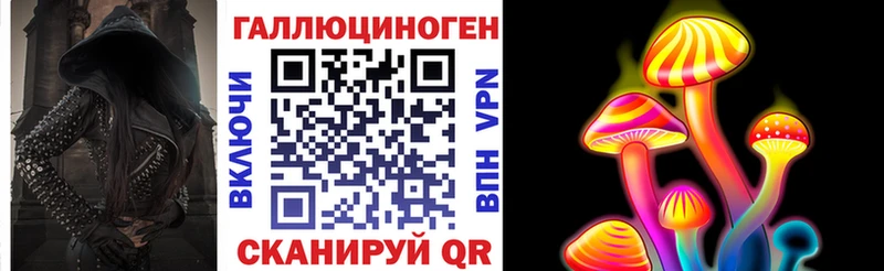 Галлюциногенные грибы Psilocybe  omg   Лихославль 